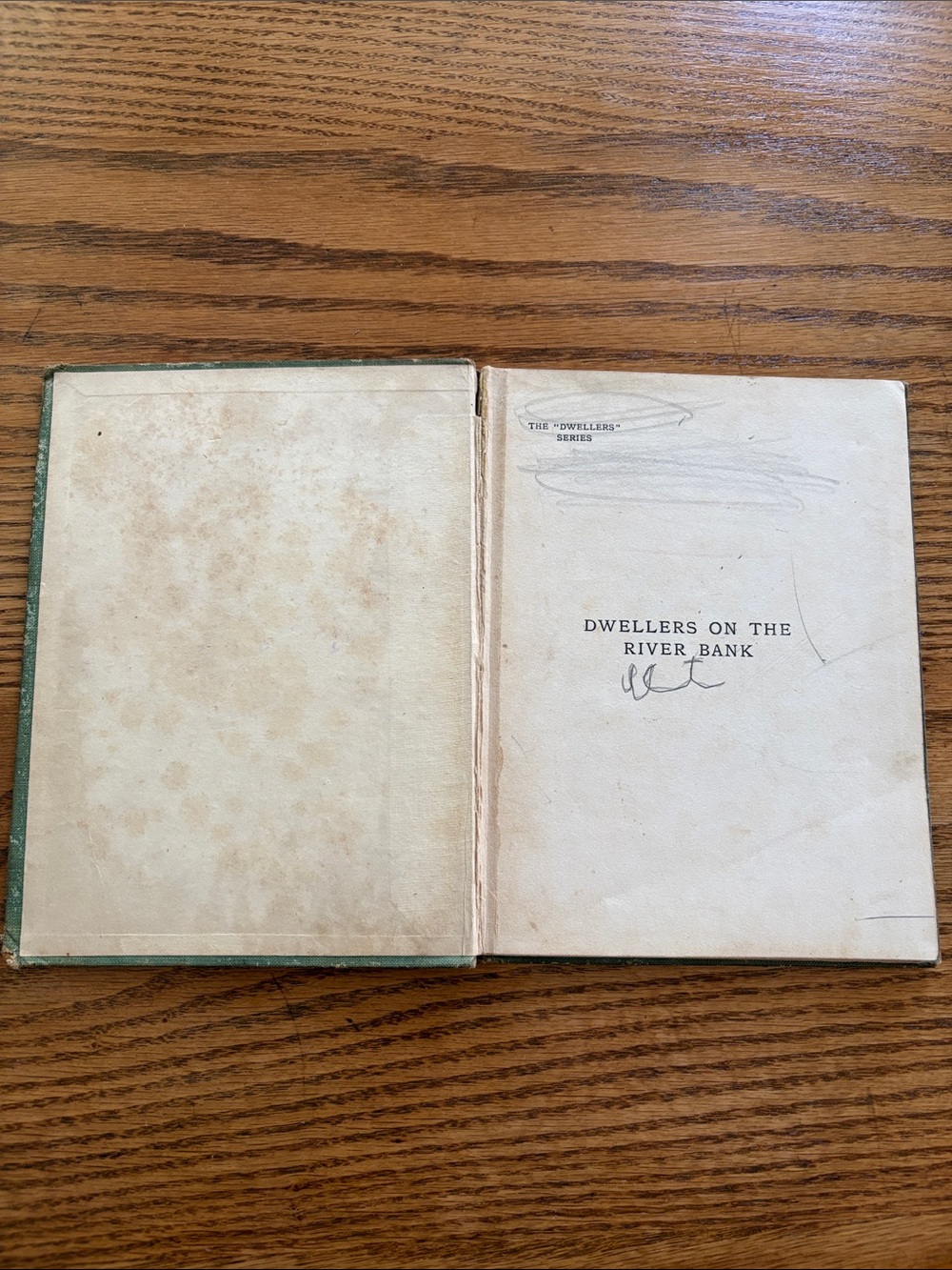 Vintage Bird Book “Dwellers on the River Banks” - Picture 3 of 12